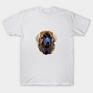Leonberger Stunning Dog T-Shirt